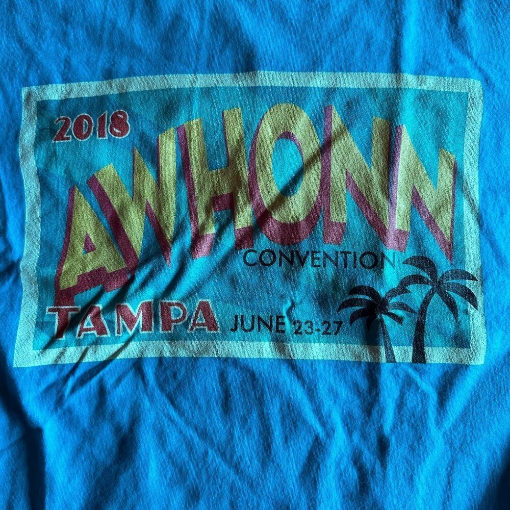 Hanes 2018 Awhonn Convention Tampa Florida Teal T-shirt Size L - Picture 2 of 14